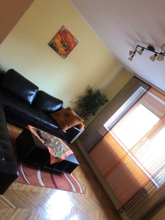Tanja apartman Jagodina Bagian luar foto