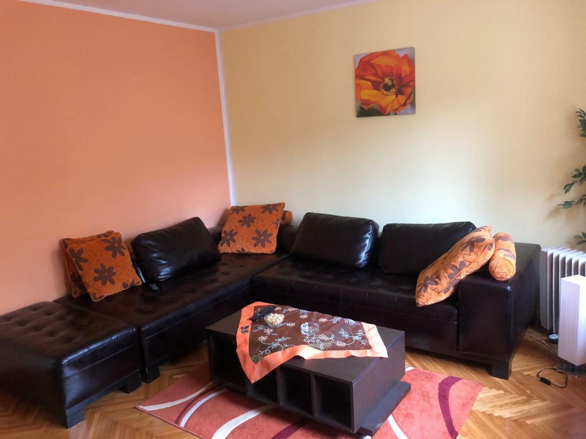 Tanja apartman Jagodina Bagian luar foto